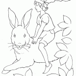 エルフはウサギを抱えて