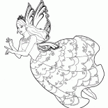 フェアリーカターニア