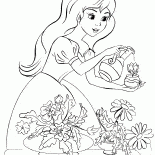 プリンセス海域の花