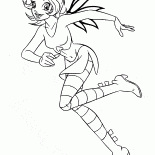 イルマ隠れ家ハエ