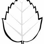 ツリーの葉