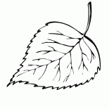 バーチ葉の滝