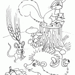 動物は株式を行います