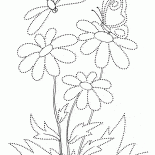 花に蝶