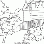 灰色オオカミについて