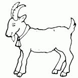 ヤギ - 今年のシンボル