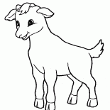 小型ヤギ