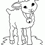 ベルと羊