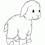 散歩の子羊