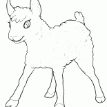子羊の楽しみを持っています