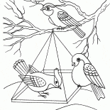 フィーダで鳥