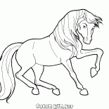 動きのある馬