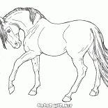 馬は遅い行きます