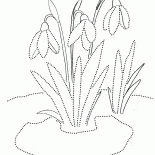 スノードロップ