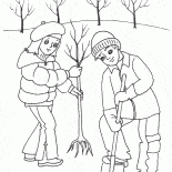 子供の植物の木