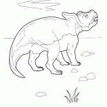 プロトケラトプス