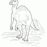 サウロロフス
