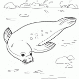 シールリラックス