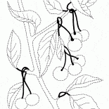 ワイルドチェリー