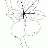 ツリー上の甘いフルーツ