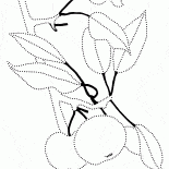 アップルの木の枝