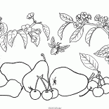 梨とチェリー