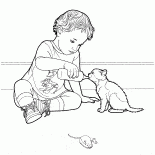仔猫