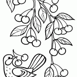 サクランボの枝