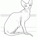 カナダのスフィンクス