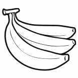 アブラヤシの果実