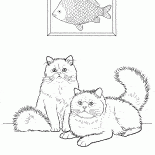 カラーポイント