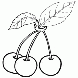さくらんぼ