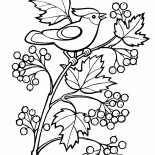 ブッシュガマズミ