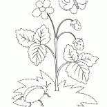 野イチゴ