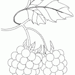 手芸ベリー