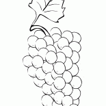 ブドウ一房