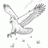 イーグル