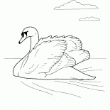 白鳥