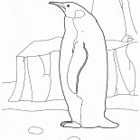 北極でのペンギン