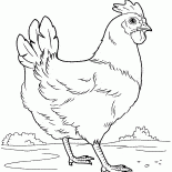 チキン
