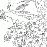 東ゴールドフィンチ