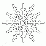 美しい雪の結晶