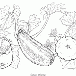 いくつかの野菜を設定します
