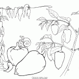 ブルガリア語コショウ