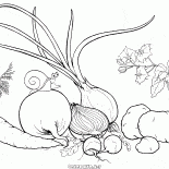 庭から野菜
