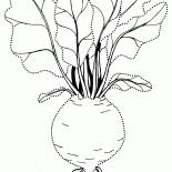 ビートのクラシック