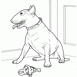 ブルテリア