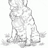 セントバーナード犬