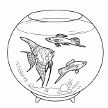 水族館の魚