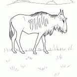 ウィルドビースト